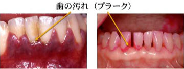 shishuu_ex01_img.jpg