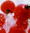 食材の除菌:O-157等の食中毒予防